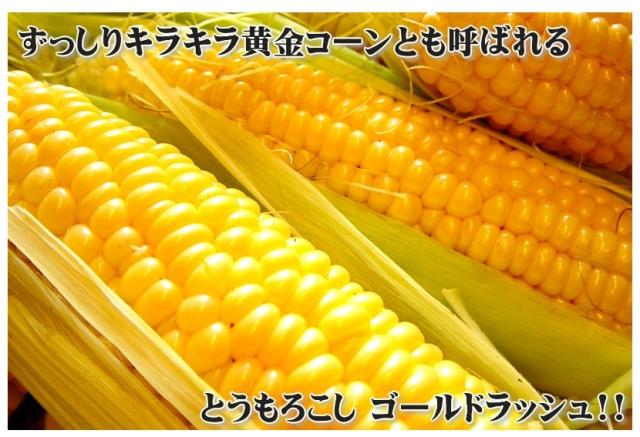 北海道産とうもろこし ゴールドラッシュ