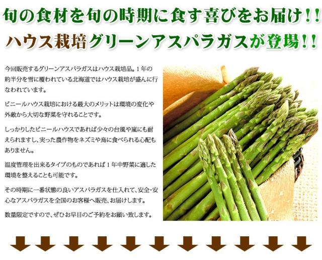 北海道産 アスパラガス グリーンアスパラ
