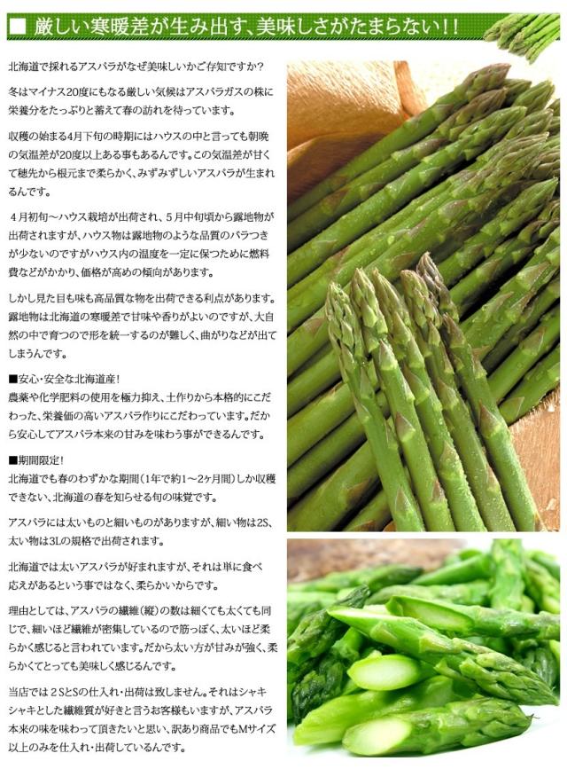 北海道産 アスパラガス グリーンアスパラ