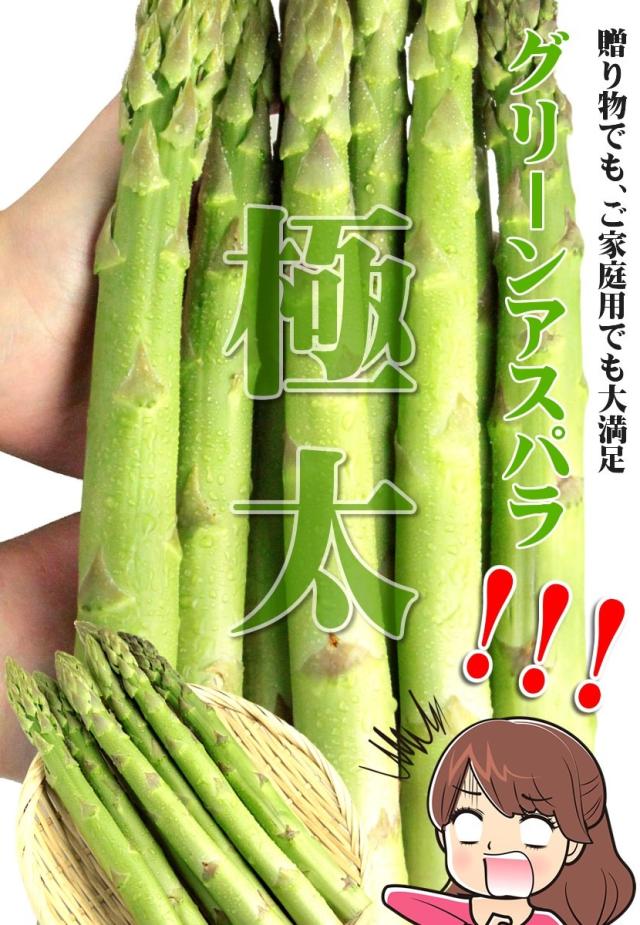 北海道産 アスパラガス グリーンアスパラ