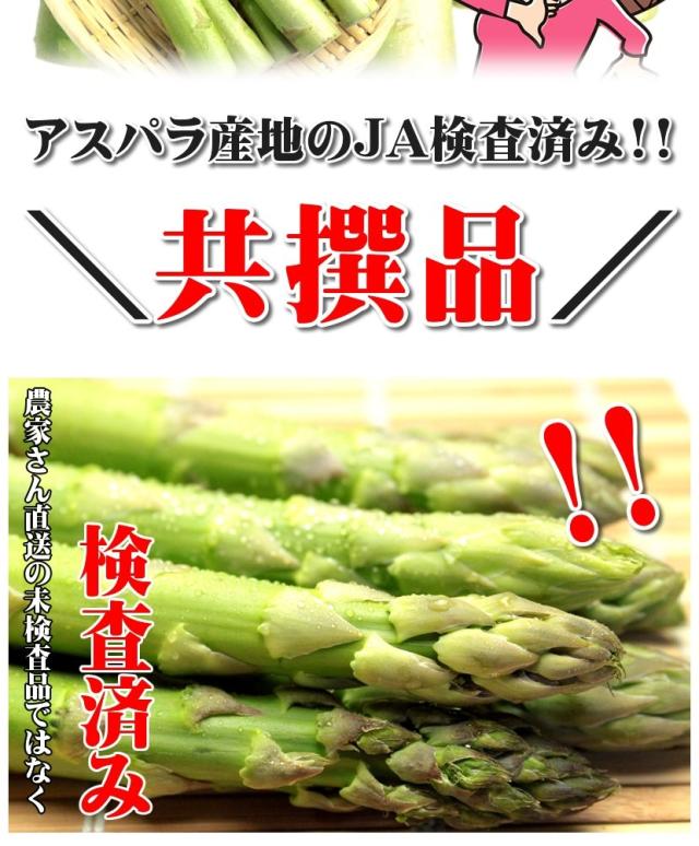 北海道産 アスパラガス グリーンアスパラ