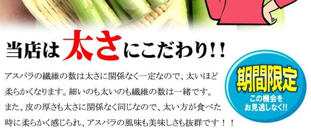 北海道産 アスパラガス グリーンアスパラ