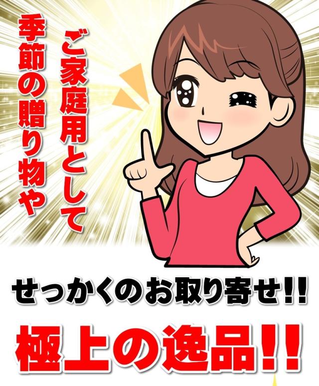 北海道産 アスパラガス グリーンアスパラ