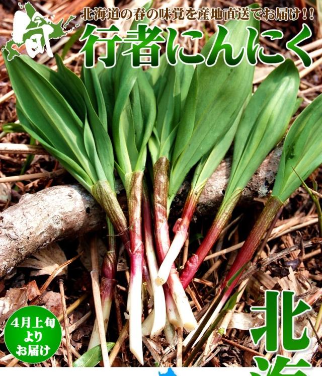 北海道産 山菜 行者醤油