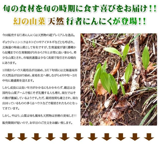 北海道産 山菜 行者醤油