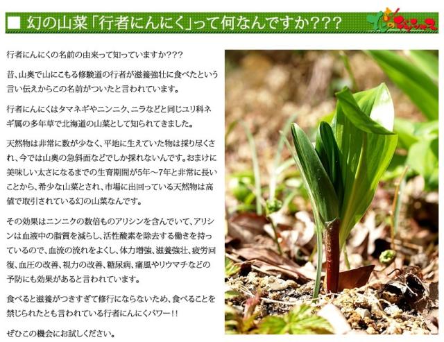 北海道産 山菜 行者醤油