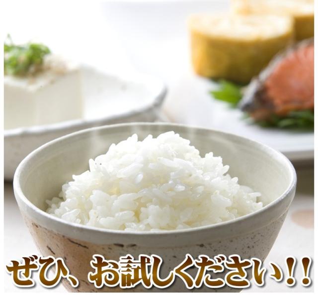 北海道産 山菜 行者醤油