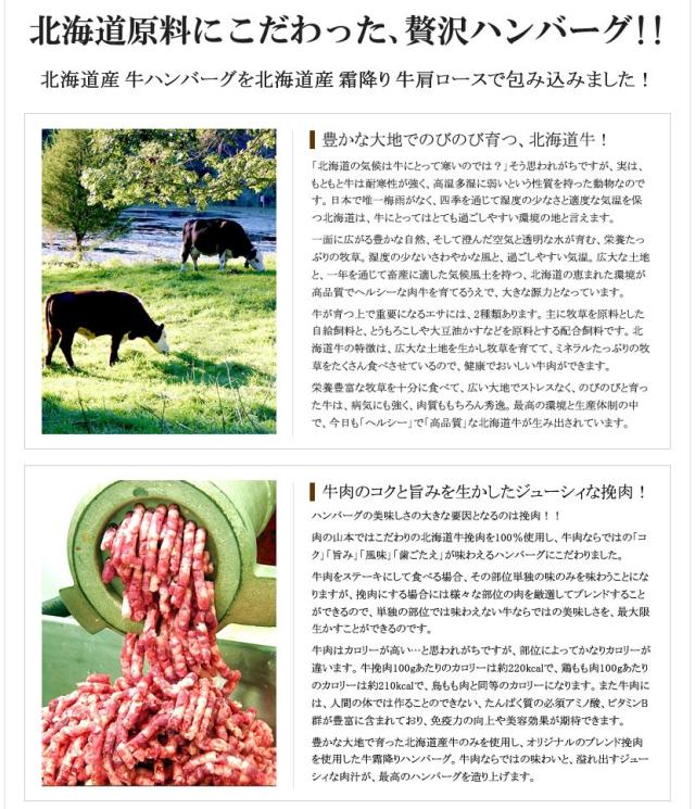 北海道産 牛霜降り ハンバーグ