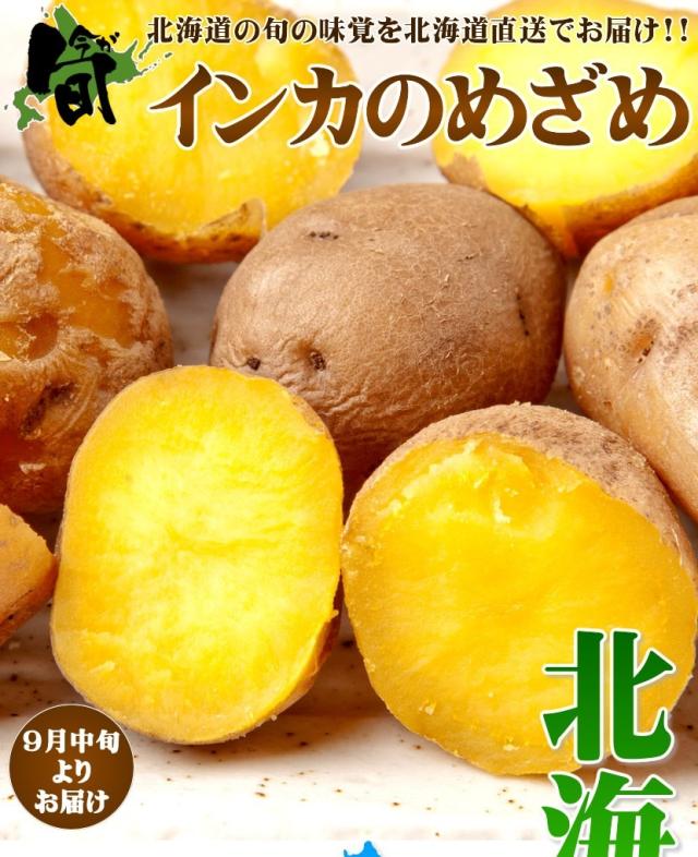 北海道産 じゃがいも インカのめざめ