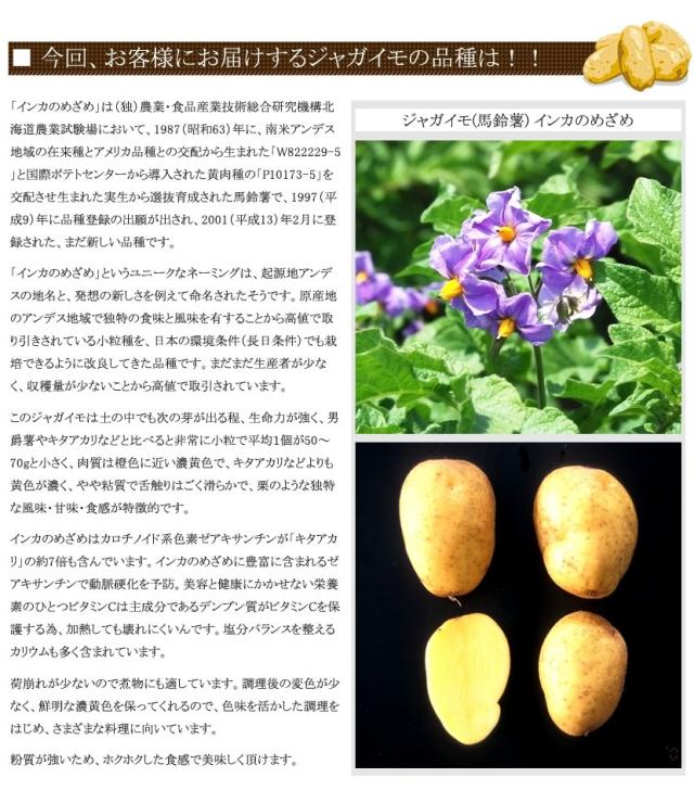 北海道産 じゃがいも インカのめざめ