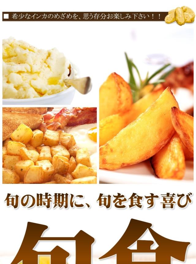 北海道産 じゃがいも インカのめざめ