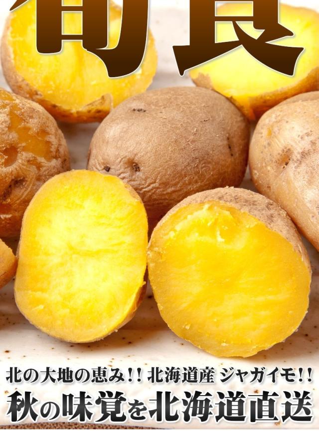 北海道産 じゃがいも インカのめざめ