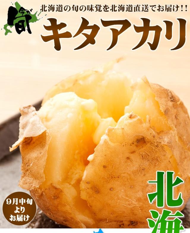 北海道産 じゃがいも キタアカリ