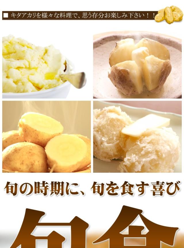 北海道産 じゃがいも キタアカリ