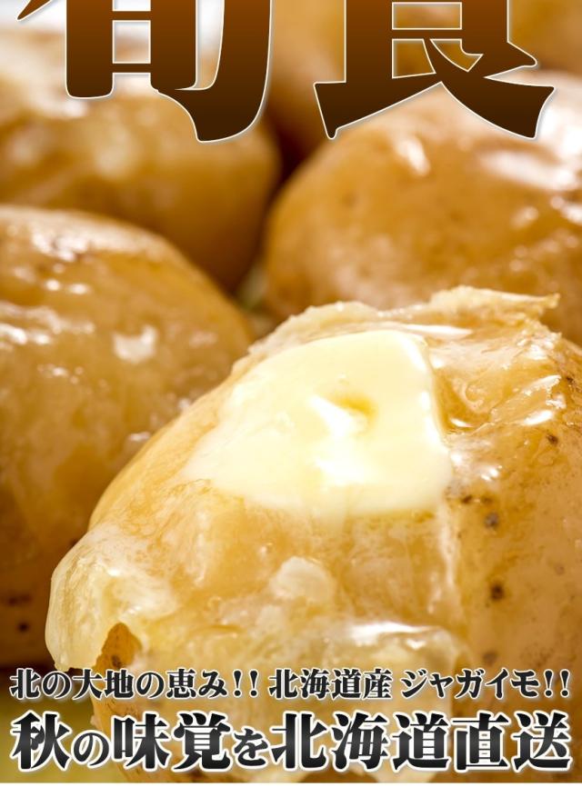 北海道産 じゃがいも キタアカリ