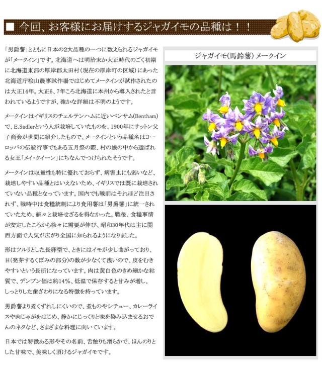 北海道産 じゃがいも メークイン