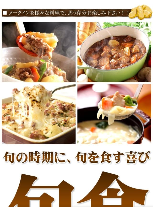 北海道産 じゃがいも メークイン