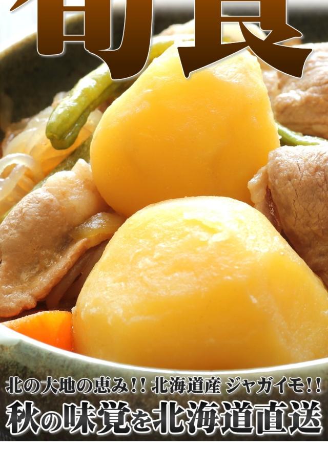 北海道産 じゃがいも メークイン