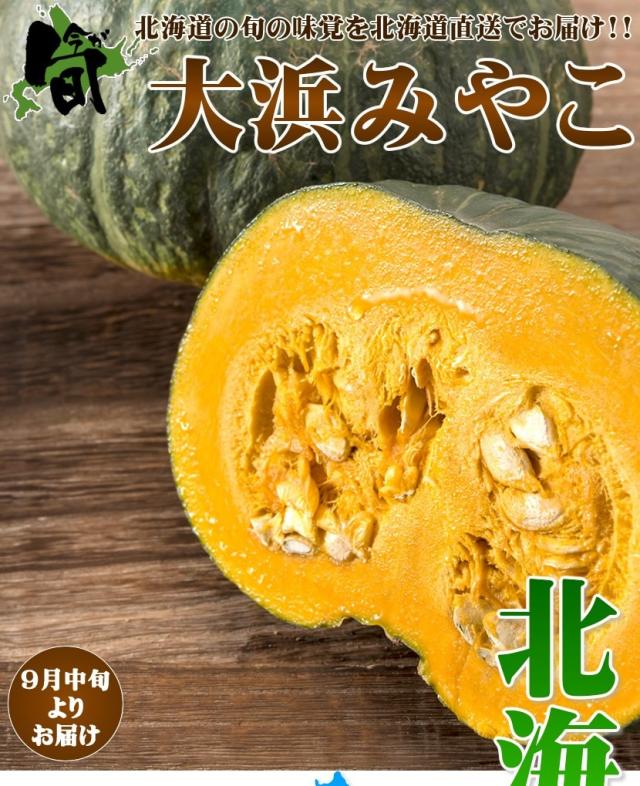 北海道産 かぼちゃ 大浜みやこ