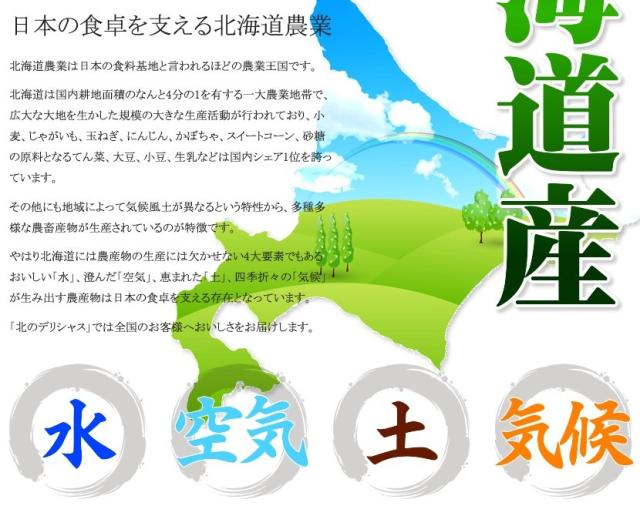 北海道産 かぼちゃ 大浜みやこ