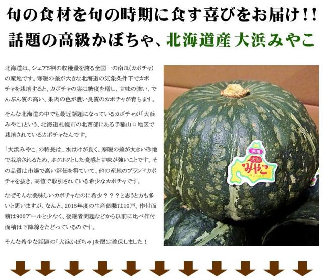 北海道産 かぼちゃ 大浜みやこ