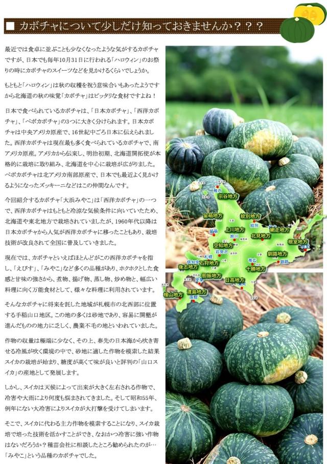 北海道産 かぼちゃ 大浜みやこ
