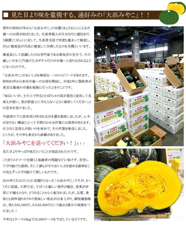 北海道産 かぼちゃ 大浜みやこ