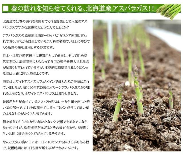 北海道産 アスパラ 夏アスパラ