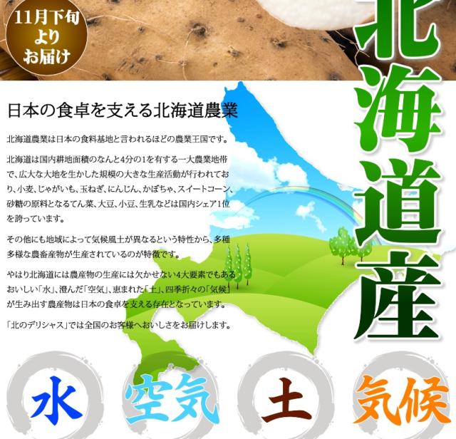 北海道産 野菜 長薯
