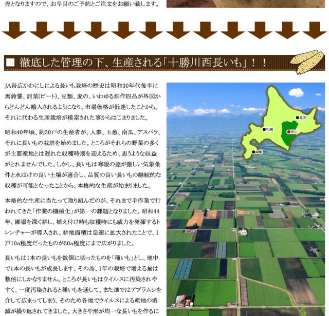 北海道産 野菜 長薯