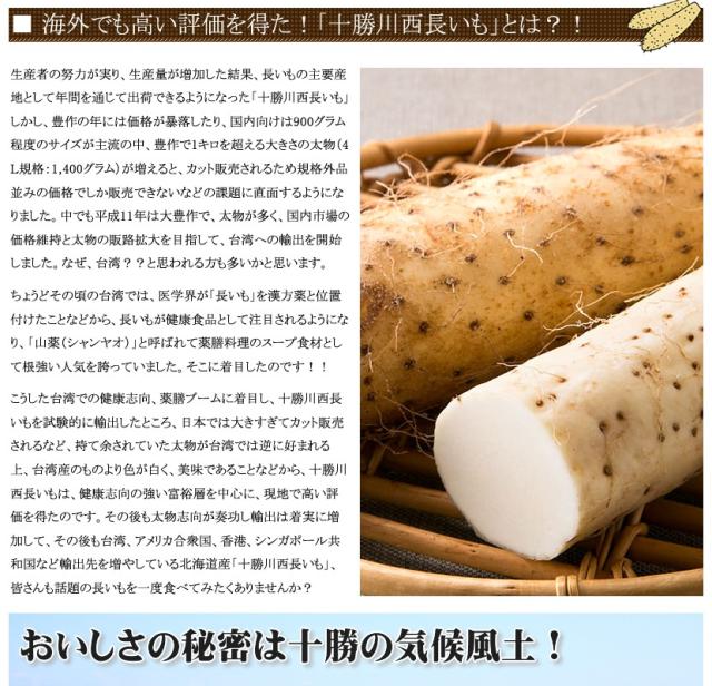 北海道産 野菜 長薯