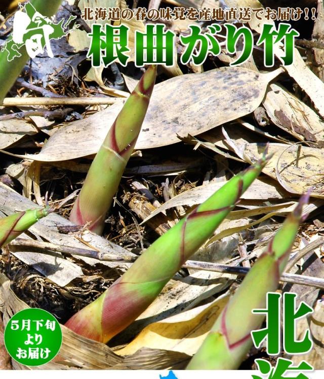 北海道産 山菜