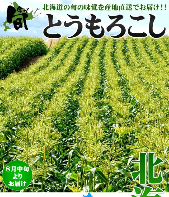 北海道産とうもろこし ゴールドラッシュ