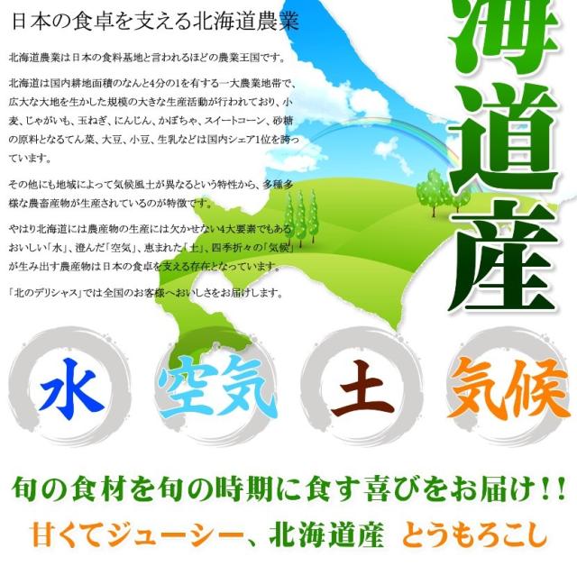 北海道産とうもろこし ゴールドラッシュ