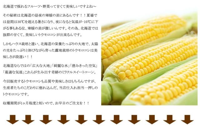 北海道産とうもろこし ゴールドラッシュ