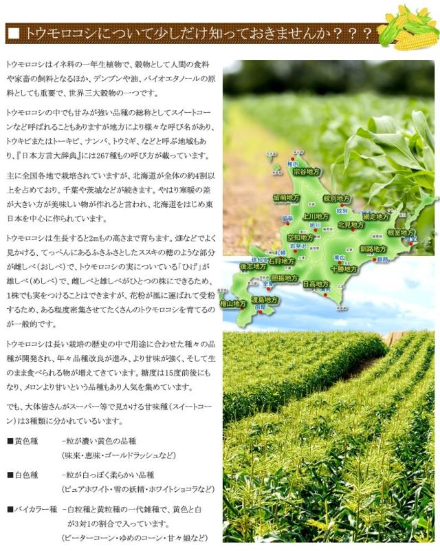 北海道産とうもろこし ゴールドラッシュ