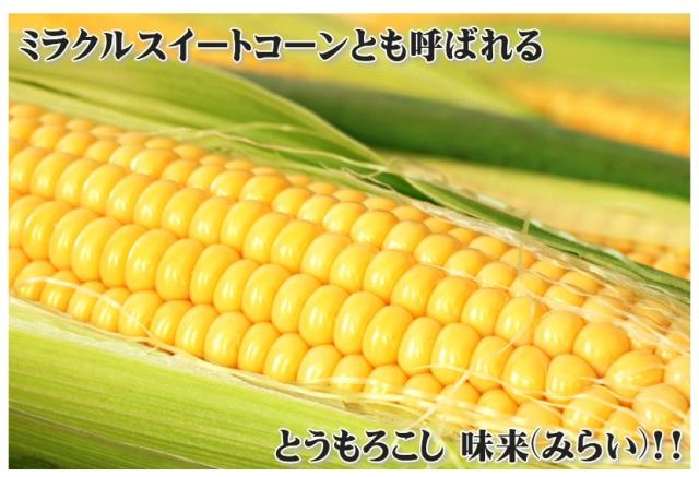 北海道産とうもろこし 味来