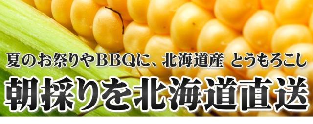 北海道産とうもろこし ゴールドラッシュ