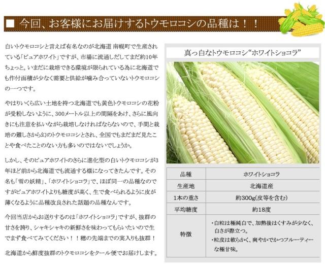 北海道産とうもろこし ホワイトショコラ