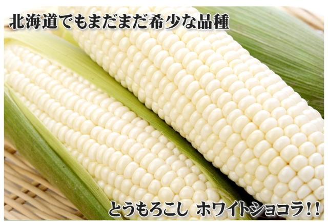 北海道産とうもろこし ホワイトショコラ