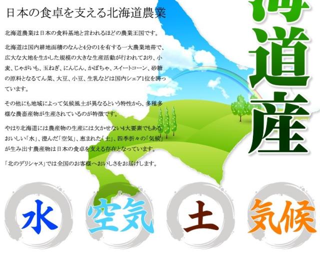 北海道産 野菜 野菜セット