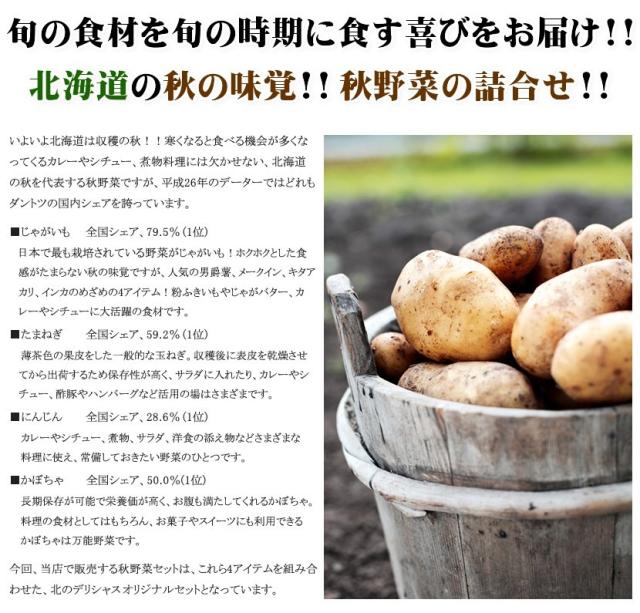 北海道産 野菜 野菜セット