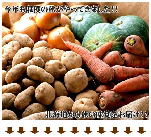 北海道産 野菜 野菜セット