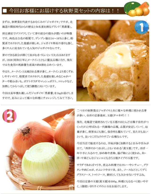 北海道産 野菜 野菜セット