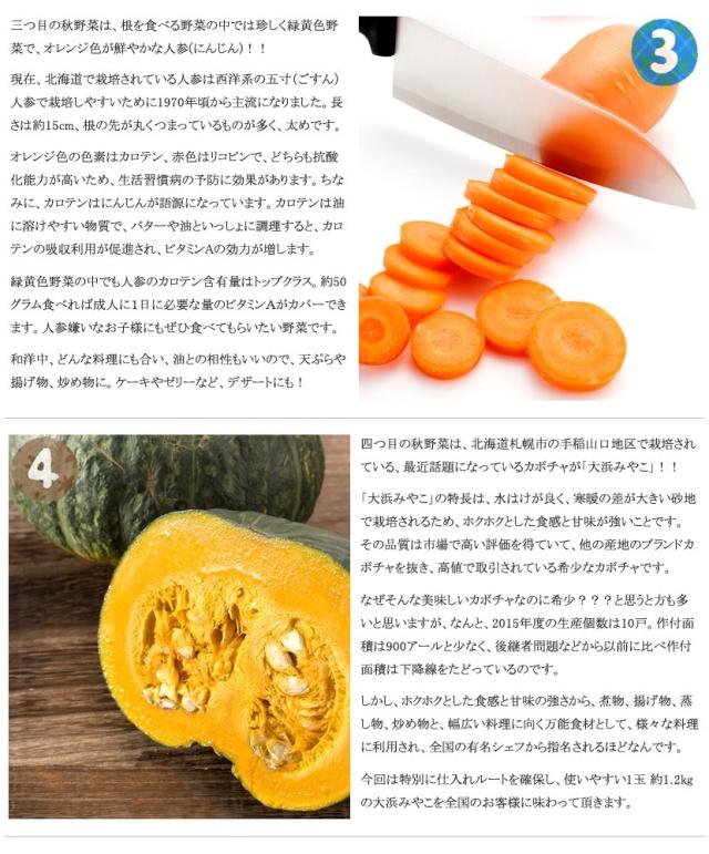 北海道産 野菜 野菜セット