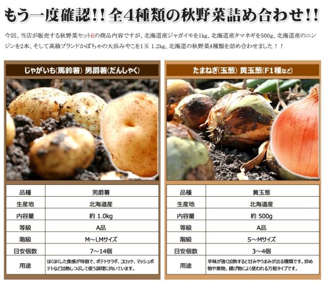 北海道産 野菜 野菜セット