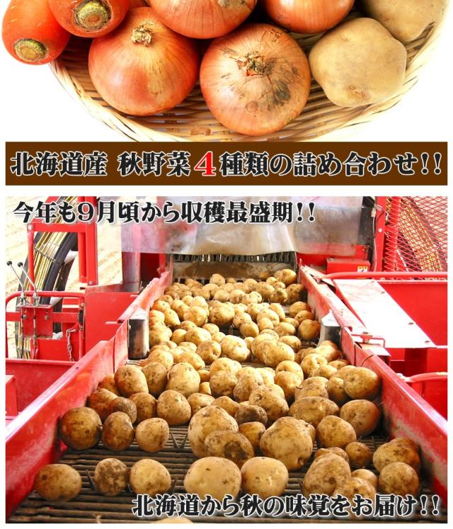 北海道産 野菜 野菜セット