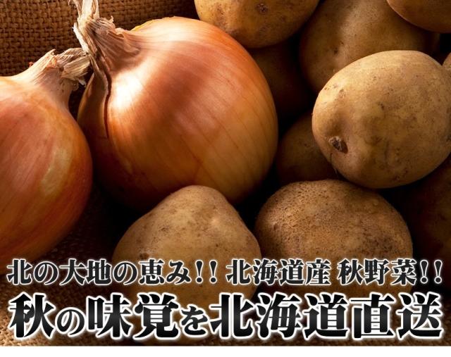 北海道産 野菜 野菜セット