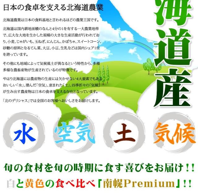 北海道産 南幌町とうもろこし 食べ比べ