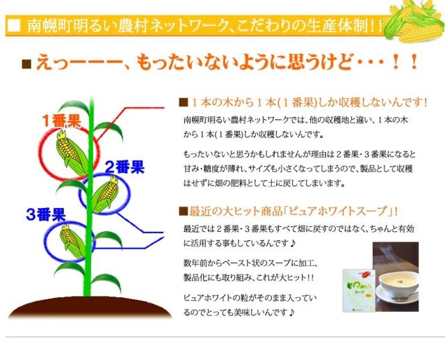 北海道産 南幌町とうもろこし 食べ比べ